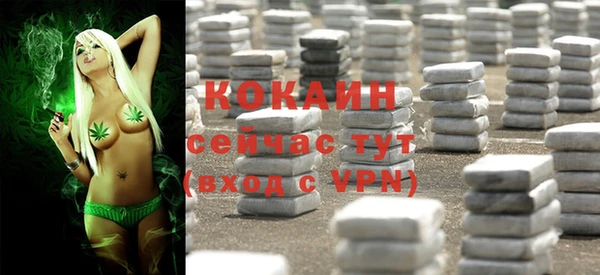 a pvp Абаза