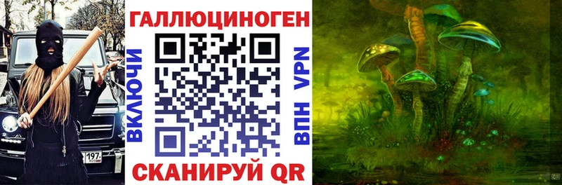 хочу   Ишимбай  Галлюциногенные грибы Psilocybe 